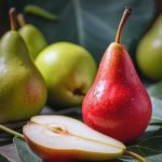 西洋梨