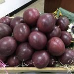 百香果：圖片 2