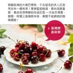 紐西蘭大嘴巴櫻桃禮盒32mm/1KG (附限量紅脣提袋)(高規格精選)：圖片 2