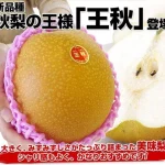 日本鳥取縣｜巨無霸王秋梨｜夢幻水梨(原裝箱-小資獨享組)