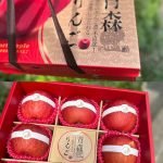 2026春節水果禮盒：蘋安禮盒｜青森蜜蘋果 (8入)
